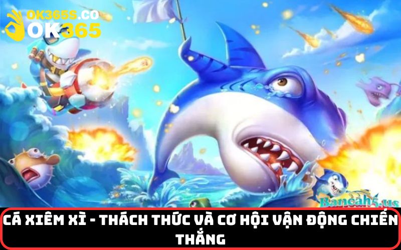 Cá Xiêm Xì - Thách thức và cơ hội vận động chiến thắng